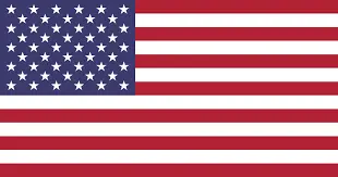 american flag-Nashville Davidson